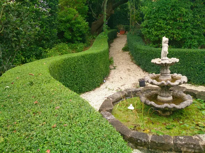 Curved box hedge lining a gravel path to a garden fountain