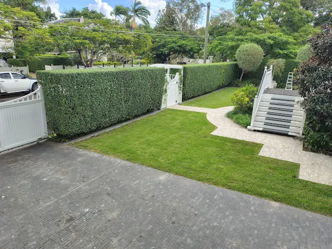 Freshly mowed striped lawn beside a trimmed hedge and driveway